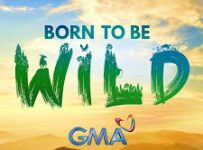 Born To Be Wild June 1 2025